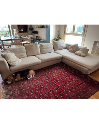 Minotti
