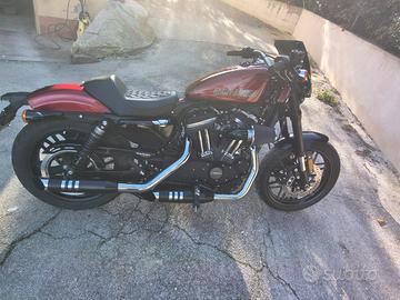 haerly davidson sportster 1200