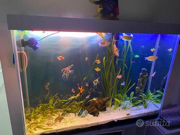 Acquario artigianale 210 lt