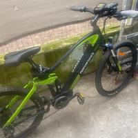 Bicicletta Argento e bike Performance Pro (NUOVA)