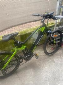 Bicicletta Argento e bike Performance Pro (NUOVA)