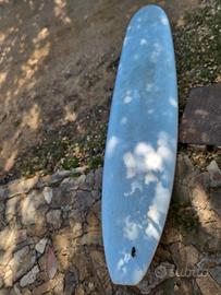 Longboard Bic usato