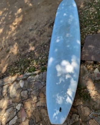 Longboard Bic usato
