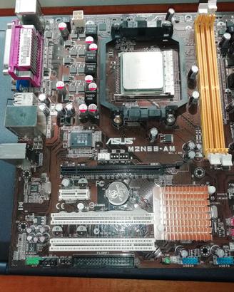 Scheda Madre Asus compresa di processore