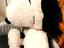 Immagine 2