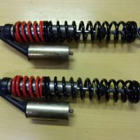 corte  & cosso ammortizzatori compact