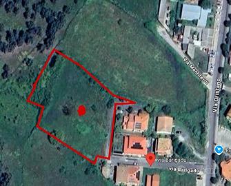 Abbasanta (OR) circa mq 5000