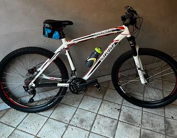 Mountain bike specialized
