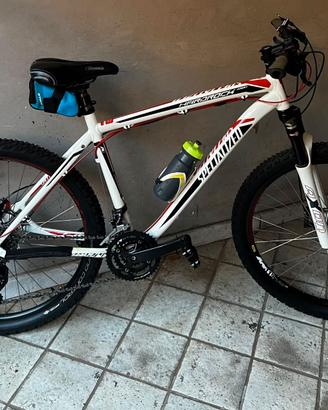 Mountain bike specialized
