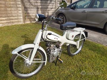 Motom Altro modello - 1960