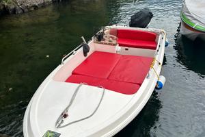 Barca a motore 40cv tullio abbate