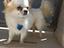 Immagine 5