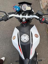 BENELLI 