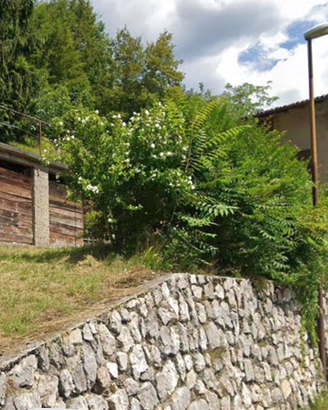 Vallarsa, casa singola con terreno