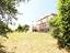 Immagine 28