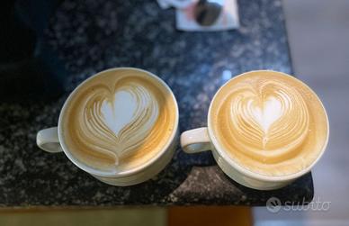 Barista cameriera