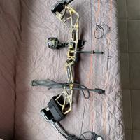 Arco compound Bear Species