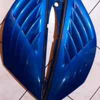 Accessori renault Avantime 