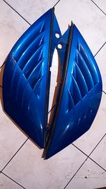 Accessori renault Avantime 