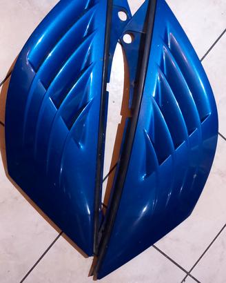 Accessori renault Avantime 
