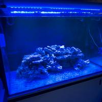 Acquario marino 360l