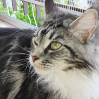 Rimborso spese, con obbligo di sterilizzazione