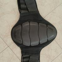 paraschiena lombare daines6