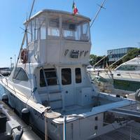 Luhrs 350 Tournement