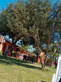 Appartamento Sud Sardegna