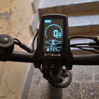 Engwe ep-2 pro 750 w
