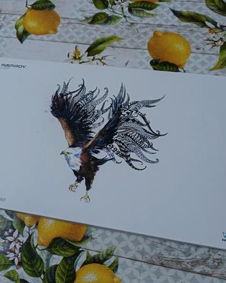 Tavola grafica Huion