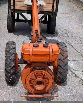 Trattore Pasquali 901
