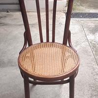5 eleganti sedie legno curvato seduta in paglia