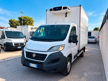 FIAT DUCATO 2.3 MJT 140 CV ISOTERMICO REFRIGERATO 