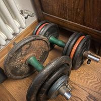 Coppia Manubri Ghisa 32kg (16kg + 16kg) - Palestra