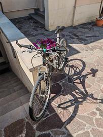 Mountain bike atala