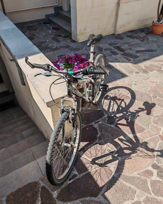 Mountain bike atala