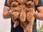 Immagine 4
