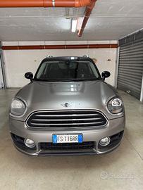 minicountrymam