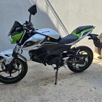 KAWASAKI Z-E1 CON ECOBONUS