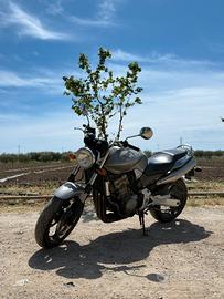Honda Hornet 900