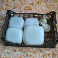 Lampade (plafoniere) anni '60 in vetro