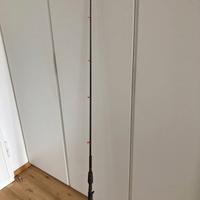 Canna  Berkley Casting 2,32m - 12-30 Lb