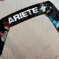 Fascia di Ariete concerto 2023.