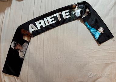 Fascia di Ariete concerto 2023.