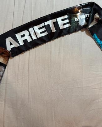 Fascia di Ariete concerto 2023.