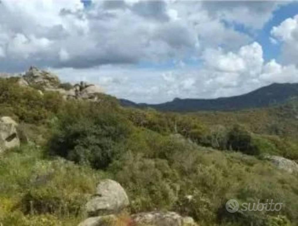 Immobile in asta di 32809 m² a Calangianus - Vista 4