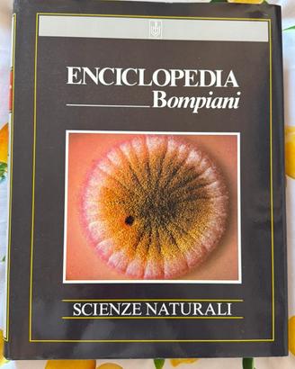 Enciclopedia completa bompiani 26 volumi