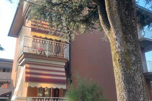 Affittiamo trilocale spazioso e luminoso