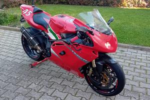 MV Augusta F4  312 RR (2010/2011)